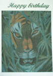 Tiger in jungle