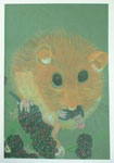 Dormouse on blackberries